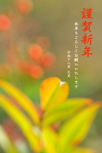 迎春