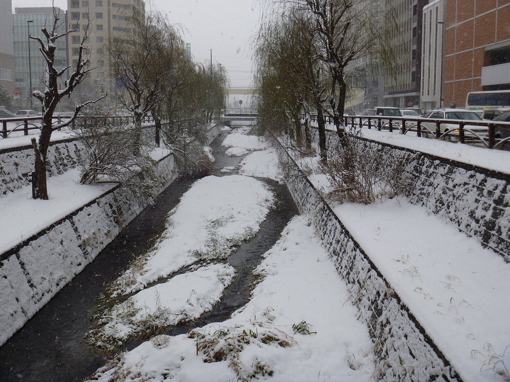 雪7
