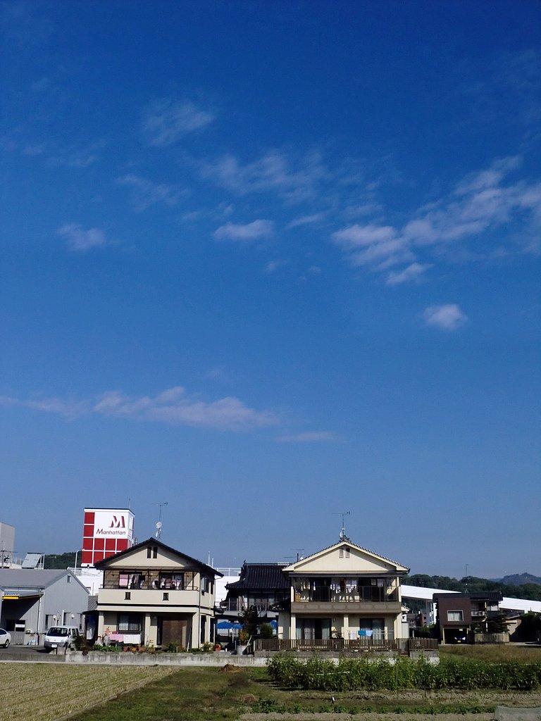 予報ハズレ