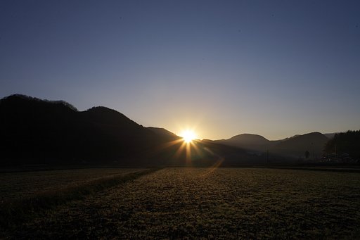 久しぶりの快晴の朝。