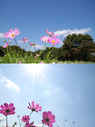 順光と逆光