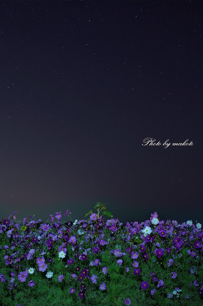 星空のステージ