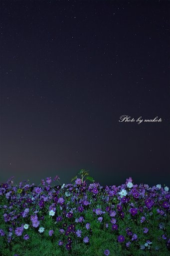 星空のステージ