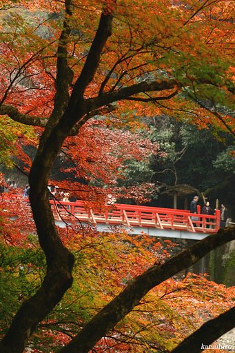 香嵐渓