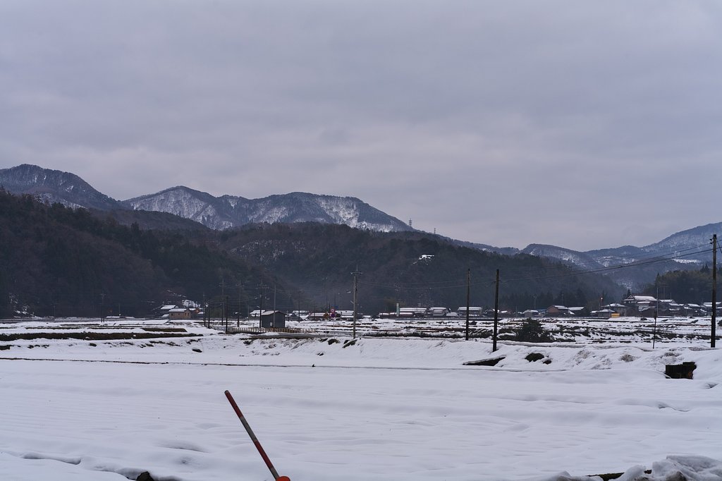 今朝も曇り空です・・