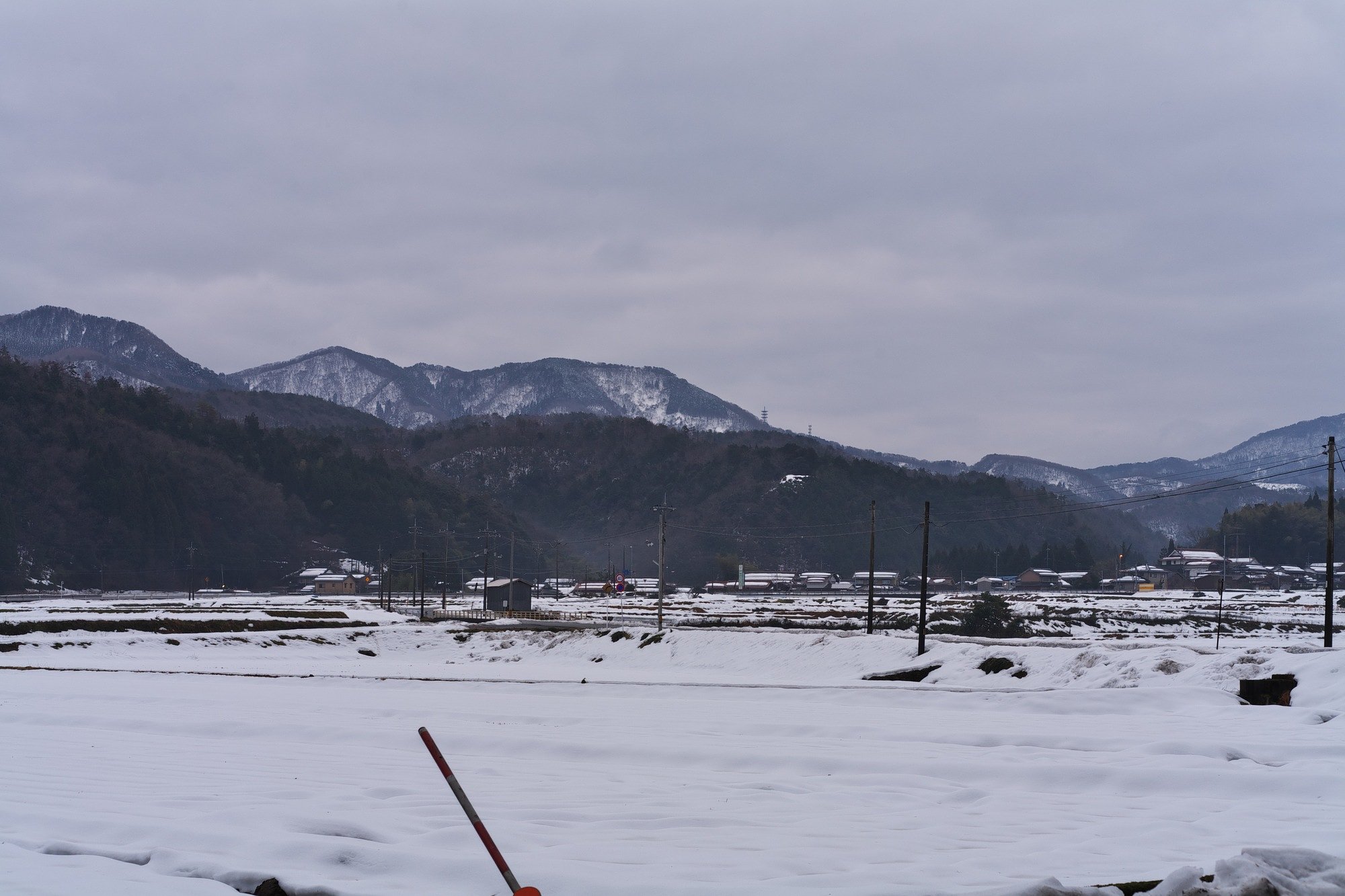今朝も曇り空です・・