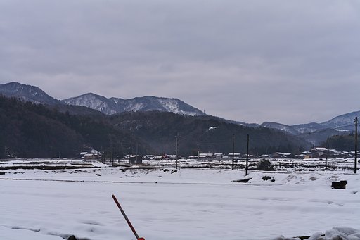 今朝も曇り空です・・