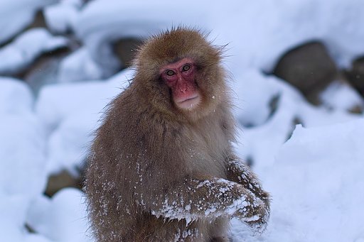 なに！見てんだよ！？