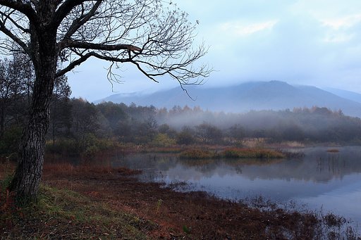 晩秋の湖沼