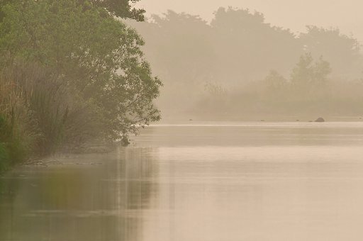 【わびさび】朝靄