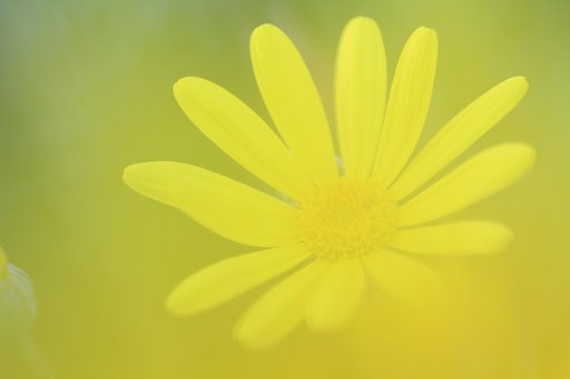 気持ちだけでも暖かく