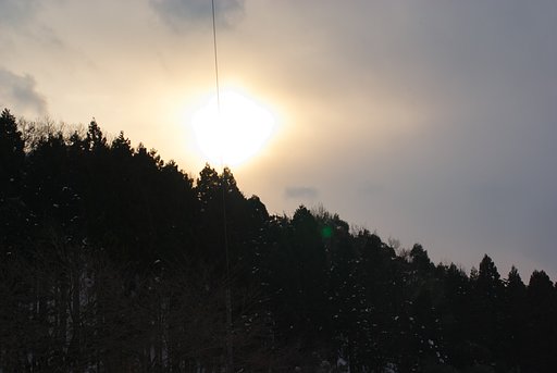 夕方近くに少しだけ・・