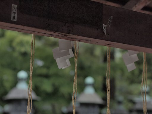 【わびさび】ひとひらの思い