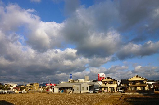 風の強い定点