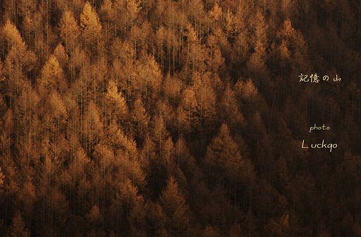 記憶の山