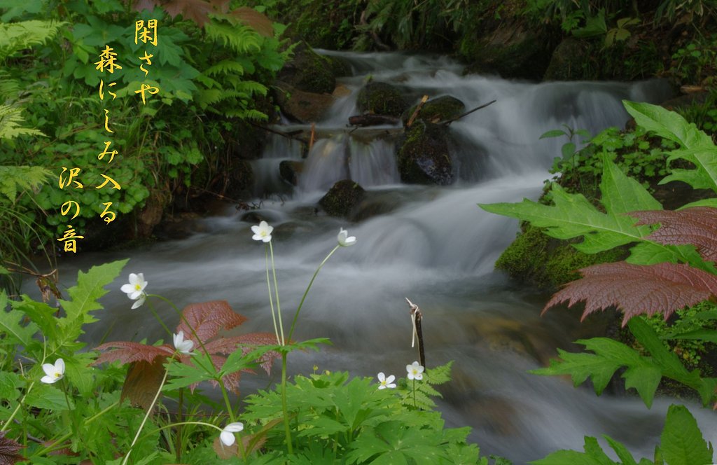 【わびさび】 沢音