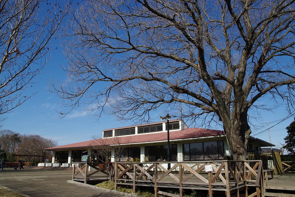 緑の相談所
