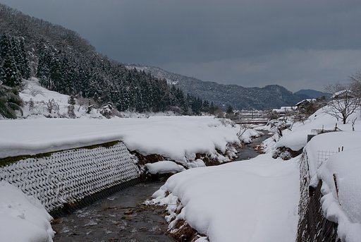 今朝も雪がチラチラと・・。