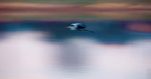 流して、、、