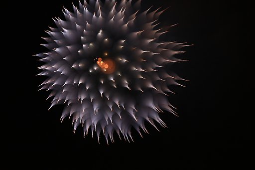 アート花火。