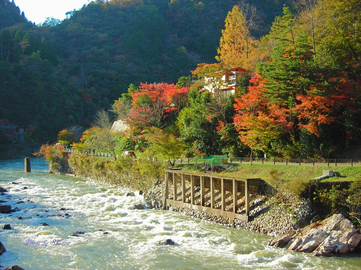 紅葉イマイチ