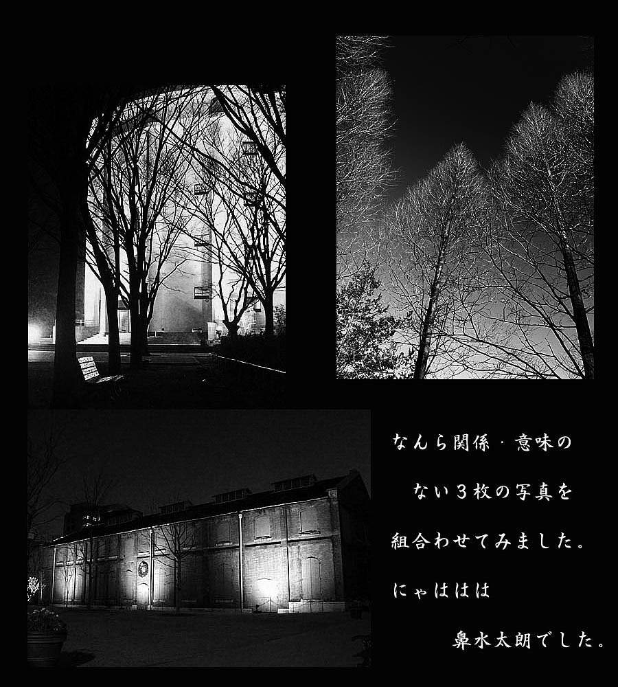 【M】なんら関係にゃい写真