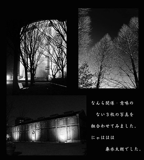 【M】なんら関係にゃい写真