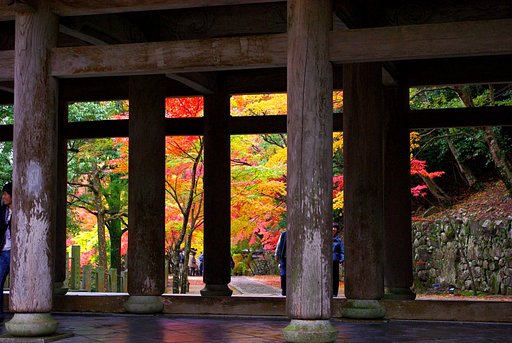 紅葉