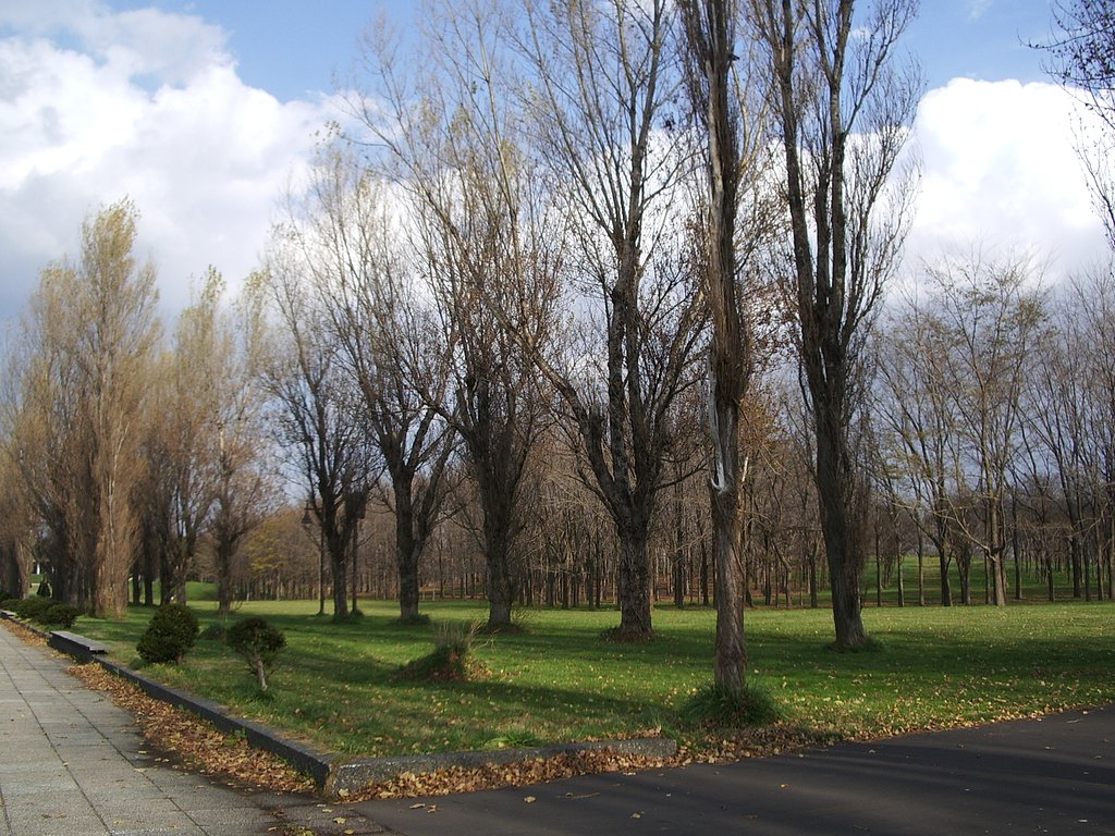 公園