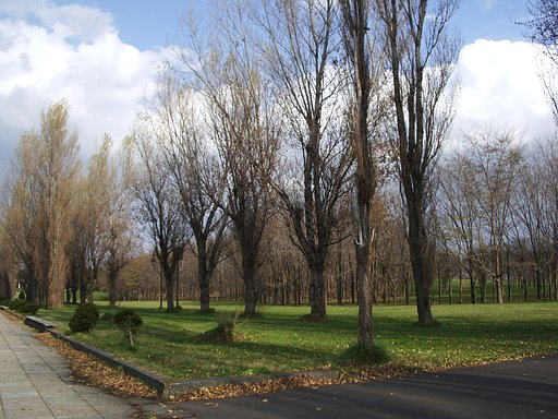 公園