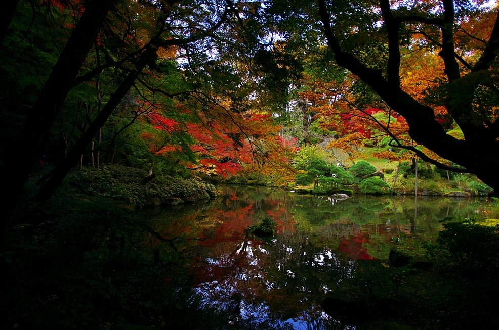 晩秋の公園・・・