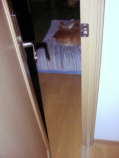 【逆】家族の誰より早く