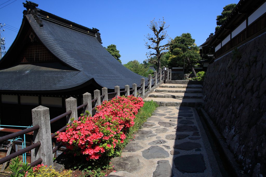 日向の参道