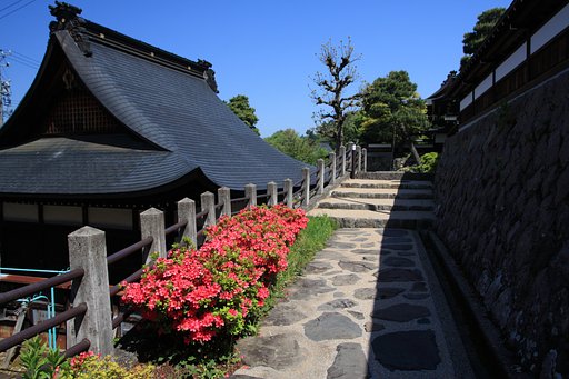日向の参道