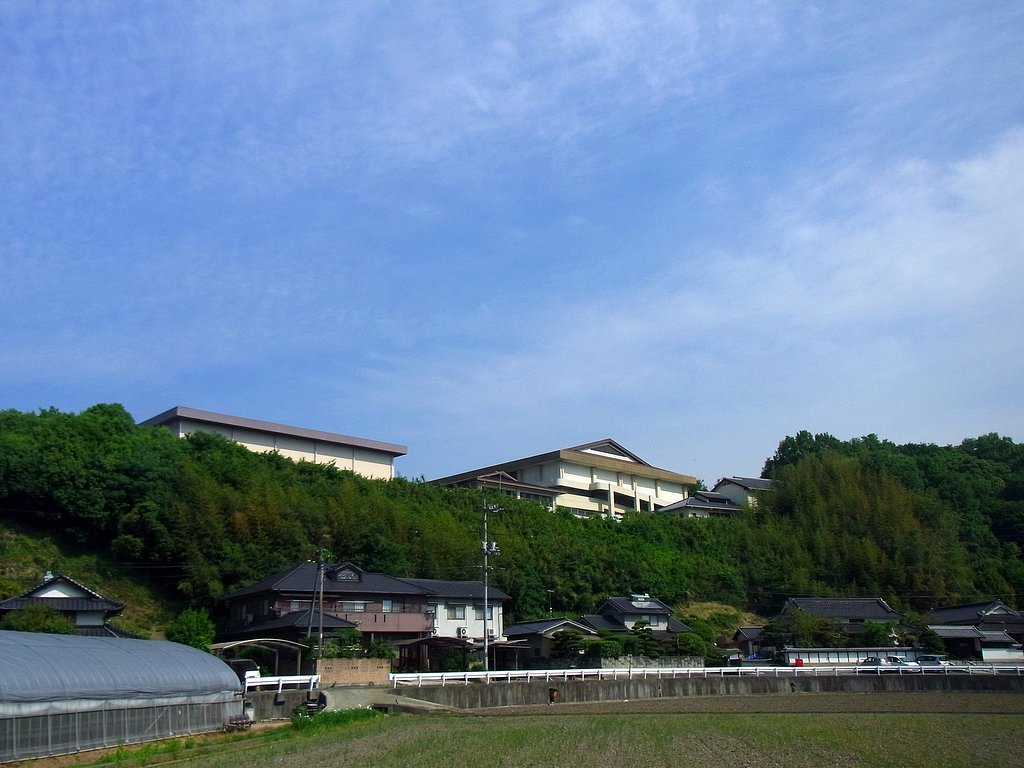 静かな朝