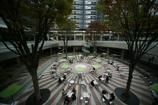 11月19日の写真