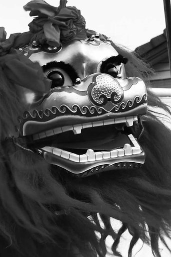 【M】獅子２