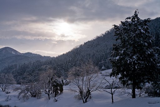 今朝の朝日。
