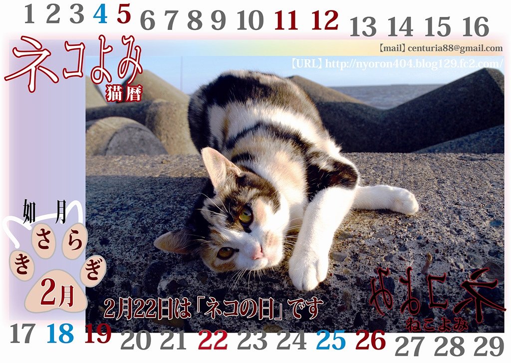 猫の日ｗ