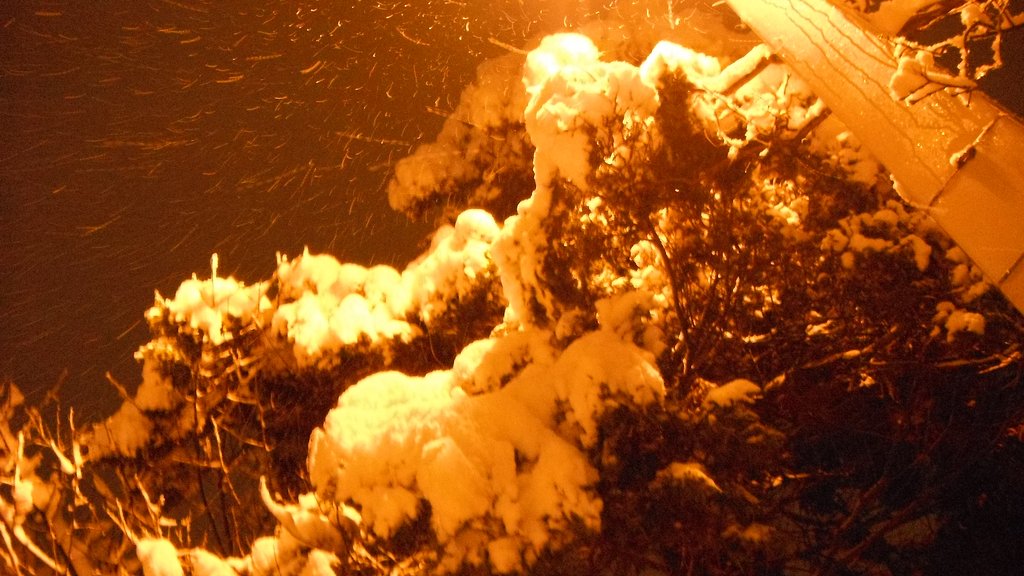 大雪