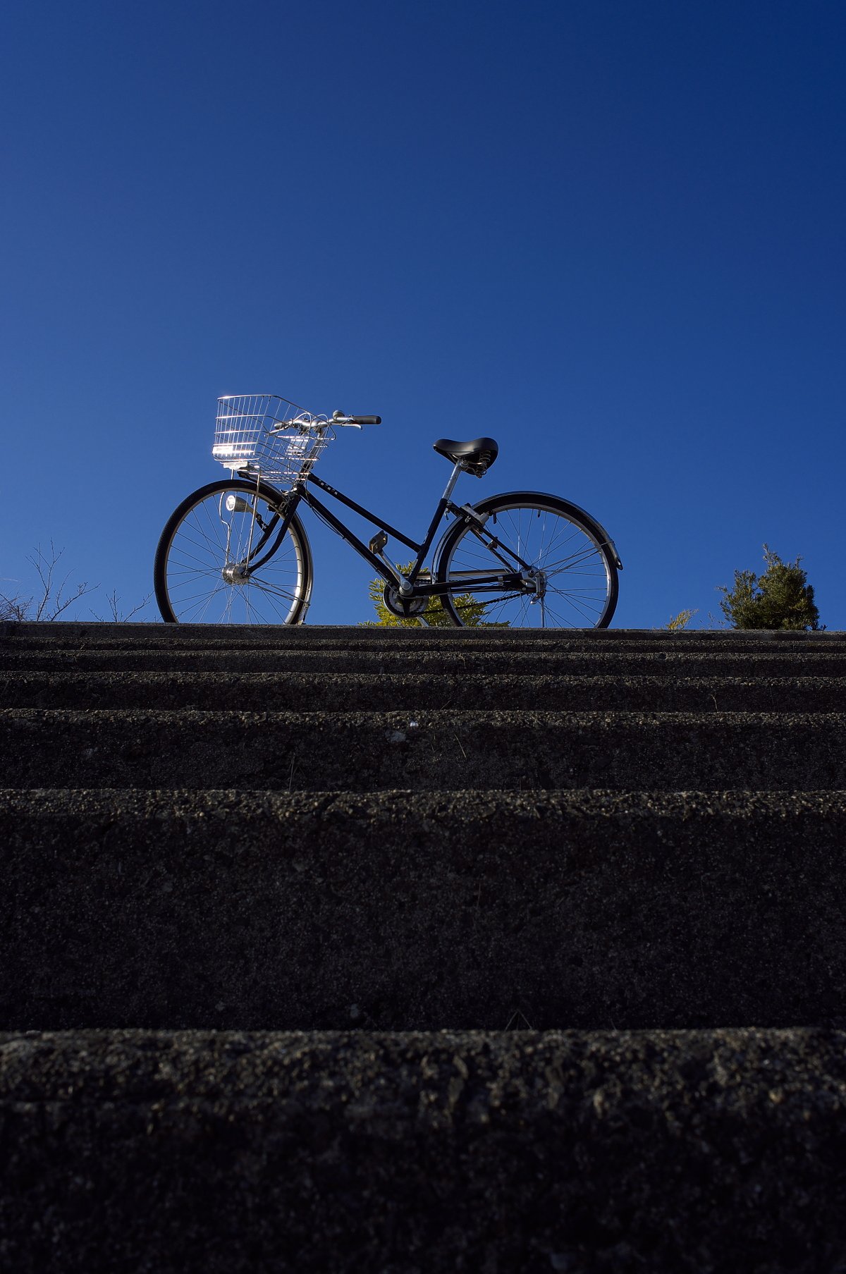 自転車