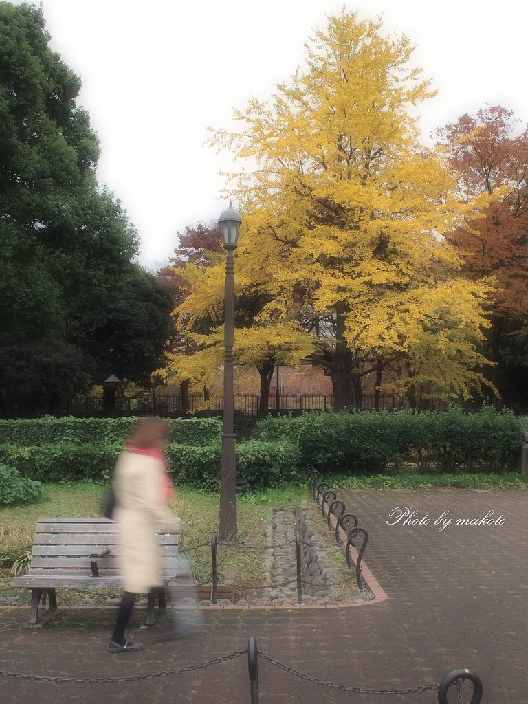 公園にて・・・
