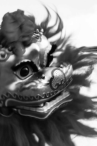 【M】獅子３