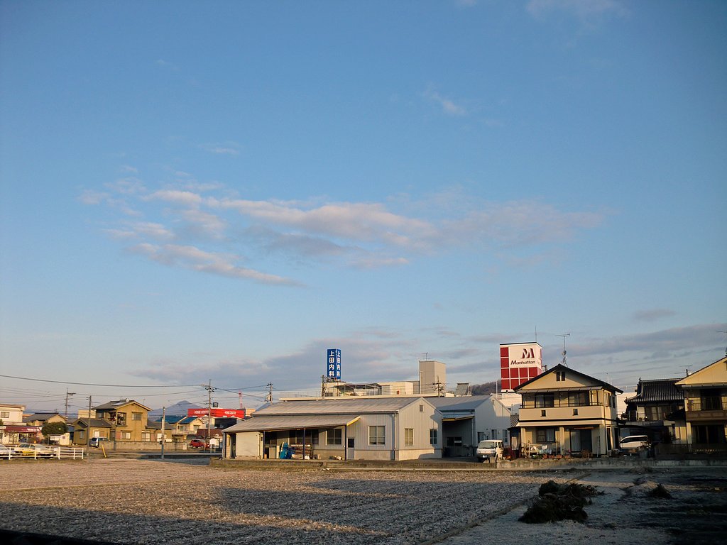 晴れました