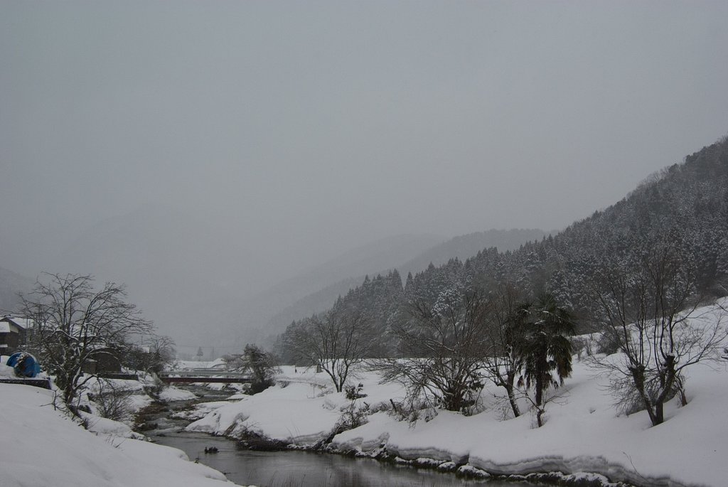 今朝は本格的雪降りに。