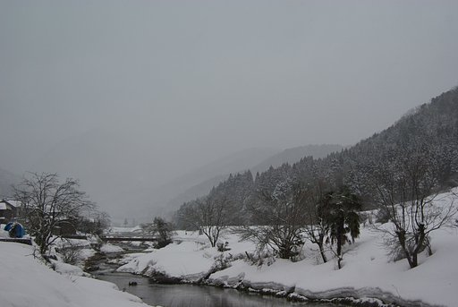 今朝は本格的雪降りに。
