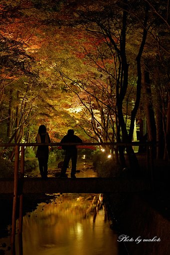 時が経つのも忘れて・・・