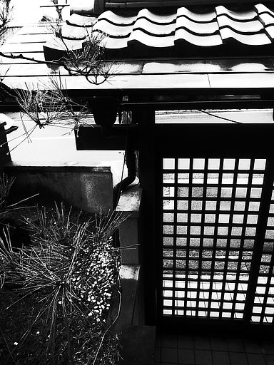 我が家の【道】