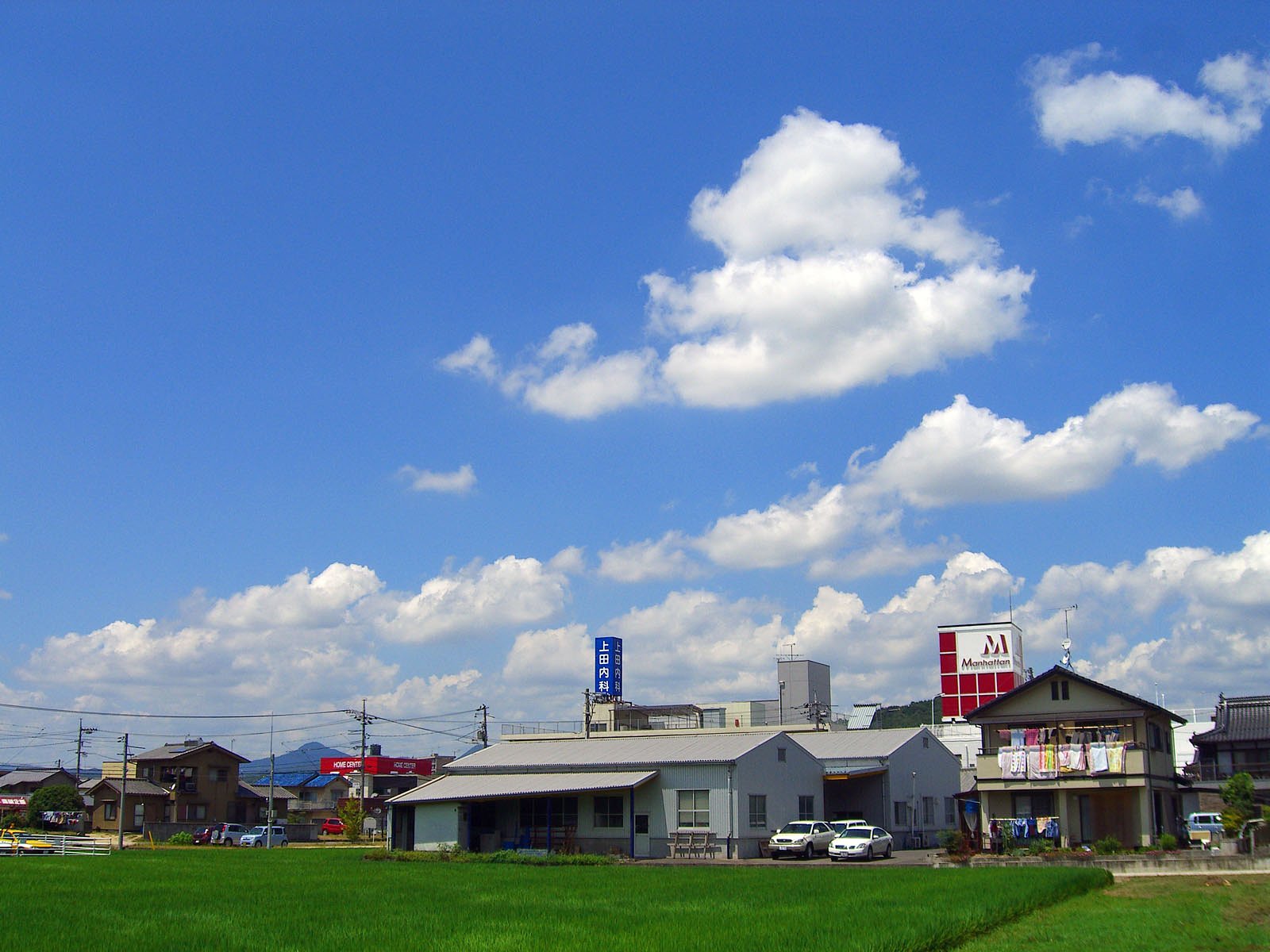 夏雲