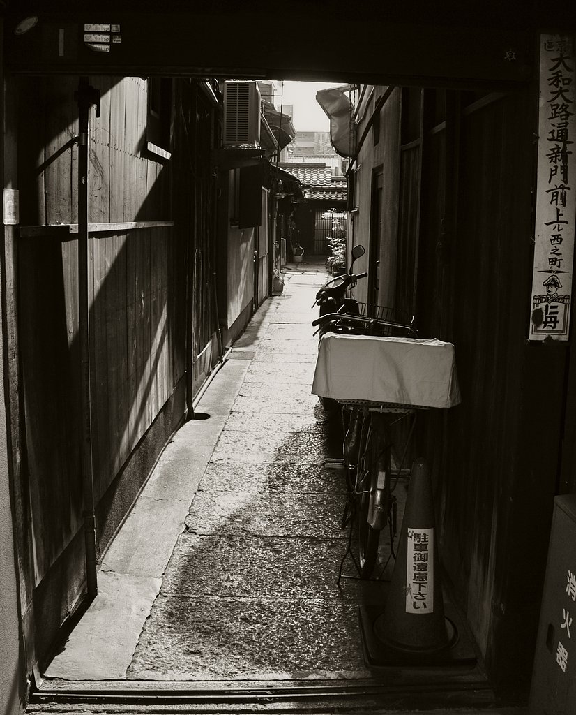 【道】旅の思い出